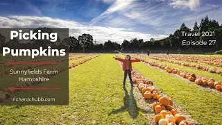Best place for Pumpkin Picking? - Sunnyfields Farm in Hampshire