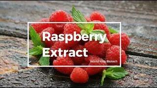 Raspberry Extract