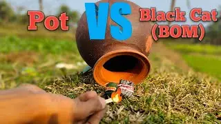 Experiment : Pot VS Black Cat BOM And VIP | Never Try | Kool Detector