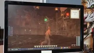 Everquest II: Destiny Of Velious