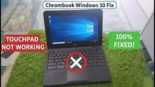 Chromebook Touchpad Not Working? Fix on Windows 10 (Easy Method)