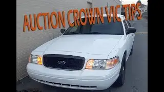 Советы по покупке на аукционе Crown Vic