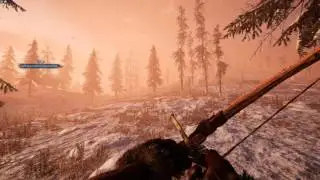 Far cry Primal 1440p Framerate/Graphics test