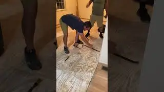 Removing old flooring to install hardwoods throughout the main level