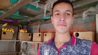 لو عايز تعمل مشروع من عصفور الروز يبقا لزم تشوف الفديو لآخر🦜🔥٣ نوفمبر ٢٠٢٤