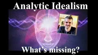 Kastrup's Analytic Idealism - the problem (Bergson 106)