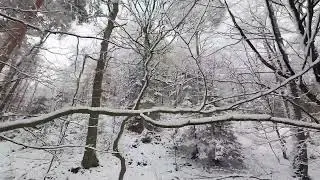 Winterflug vom 11.01.2026 in der Eifel