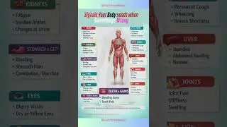 BODY WARNING SIGNS YOU SHOULD NEVER IGNORE 🚨