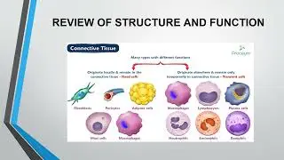 Lecture 2 Part 1 2026