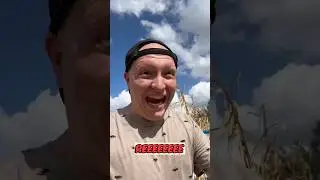 Lost in a corn maze #funny #comedy #gamer #relatable #humor #skit