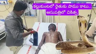 కల్లుకుంటలో రైతుకు పాము కాటు.. ఆసుపత్రిలో చికిత్స@9tvnewsAP #adoni #kurnoolnews #news 