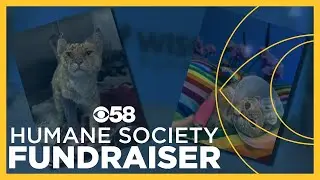 Mequon brewery hosts 'Yappy Hour' to help local animals in need