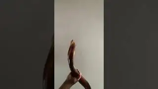BLOW THE AMAZING SHOFAR