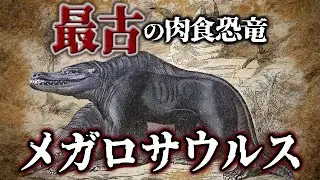 【ゆっくり解説】最初の肉食恐竜は二足歩行ではなかった！？メガロサウルスとは何者か？