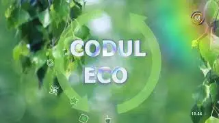 Codul Eco // 19 iunie 2023 / Zonele Umede - importante pentru menținerea echilibrului ecosistemelor