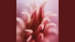 Strangers