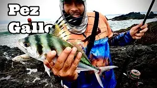Pesca de orilla y Rock fishing en Panama