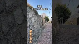 常滑散歩道に行ってみた🌟#常滑焼 #散歩 #焼き物 #壺 #招き猫 #子供との触れ合い #独り言 #休日 #ポツリズム #short #shorts #shortvideo