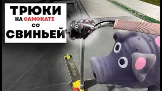 ТРЮКИ на САМОКАТЕ со СВИНЬЕЙ