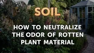 How to Neutralize the Odor of Rotten Plant Material