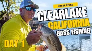 Topwater Frog Fishing on Clearlake - Day 1
