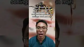 Why Does Bee Die After Stinging Enemy?