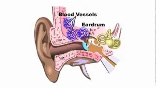 A&D Medical's UT-302 -- 60second Video
