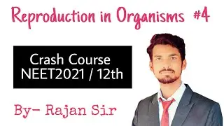 Reproduction In Organisms #4 | Budding | Crash Course NEET2021 | Class 12th Biology | Rajan Sir