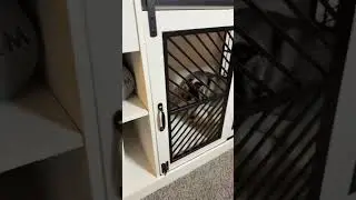 Double dog crate furniture- dog crate furniture- double dog crate furniture #tiktokshopcreatorpicks