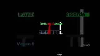 Parasee va kraxicorde shorts version battle with healthbars (75% credit for vegan shark)