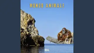 MONDO ANIMALE