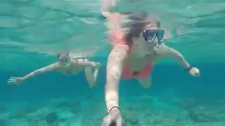 Dana & Marley SE Asia 2017