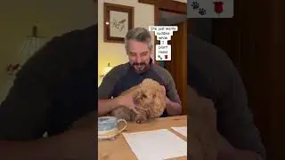 Один из моих лучших помощников в саду 🐶💖 А ваш питомец тоже помогает в саду? Оставьте комментарий...