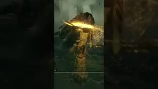 holy damage only challenge Margot #elden