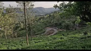 Kotagiri Samrakshitha to Kerben Road