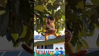 The sparrow sacrificed her life to save her children....#ai #monkey #sparrow #mother