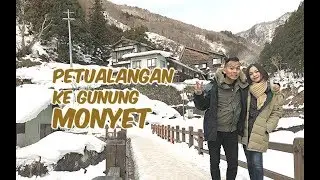 Japan Vlog Part 9 // Jugokudani Snow Monkey Park, Nagano