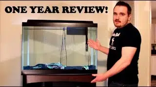 AQUEON 65 GALLON AQUARIUM ONE YEAR REVIEW!