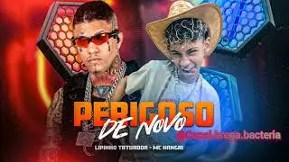 Perigoso de novo - Lipinho tatuador , MC Xangaii #bregafunk
