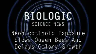 Science News - Neonicotinoid Exposure Slows Queen Bees and Delays Colony Growth