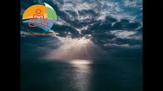 Punta Cana Wellness- Your Business After Covid _19- Using Wellness Tourism- Webinar