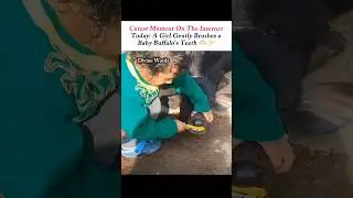 You Won&rsquo;t Stop Smiling After Watching This Baby Buffalo 🫣🫶🏻✨ #cuteshorts #cutebaby #funnyshorts
