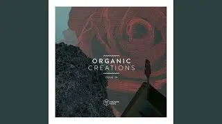 The Bitch (Original Mix)