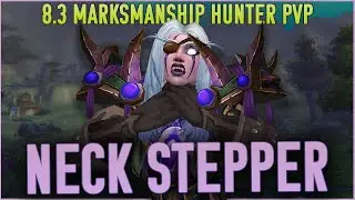 STEPPING ON NECKS - MM Hunter WoW PvP (Warsong Gulch Brawl BFA 8.3)