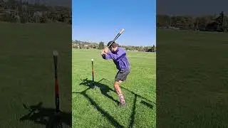 using a 34 31 maple bat Carolina club 2011 ed to hit a ball 346 ft LH