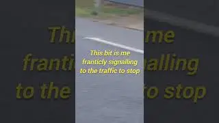 The most intense 10 seconds of my day! ducks crossing a very busy road