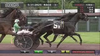 Another winning race horse from the Pavia Stable!