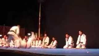Exibicion de Hapkido Fira Vilanova 2010. Toni & Franco 01.wmv