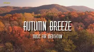 Peaceful & Relaxing Music for Stress Relief, Meditation Music, Sleep Music, Ambient Study Music