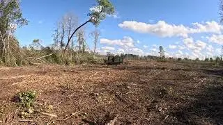 Prinoth raptor 200 mulching